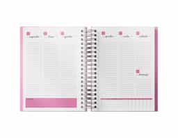 Planner anual em percalux com calendários mensais e semanais. Não possui datas fixas. Além dos calendários o planner contém páginas de identificação, roda da vida, datas importantes, senhas e acessos, contatos, metas anuais, planejamento anual, livros para ler, filmes para ver, minhas séries, controle financeiro, metas financeiras, despesas previstas, contas parceladas, saúde financeira, cuidados com a saúde, meu ano em pixel, e uma parte especial pets para registrar as informações, cuidados, compromissos, cronograma alimentar, vermífugos e vacinas.